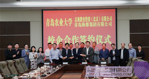 ׯ����Ϸ��(�й���)���޹�˾����